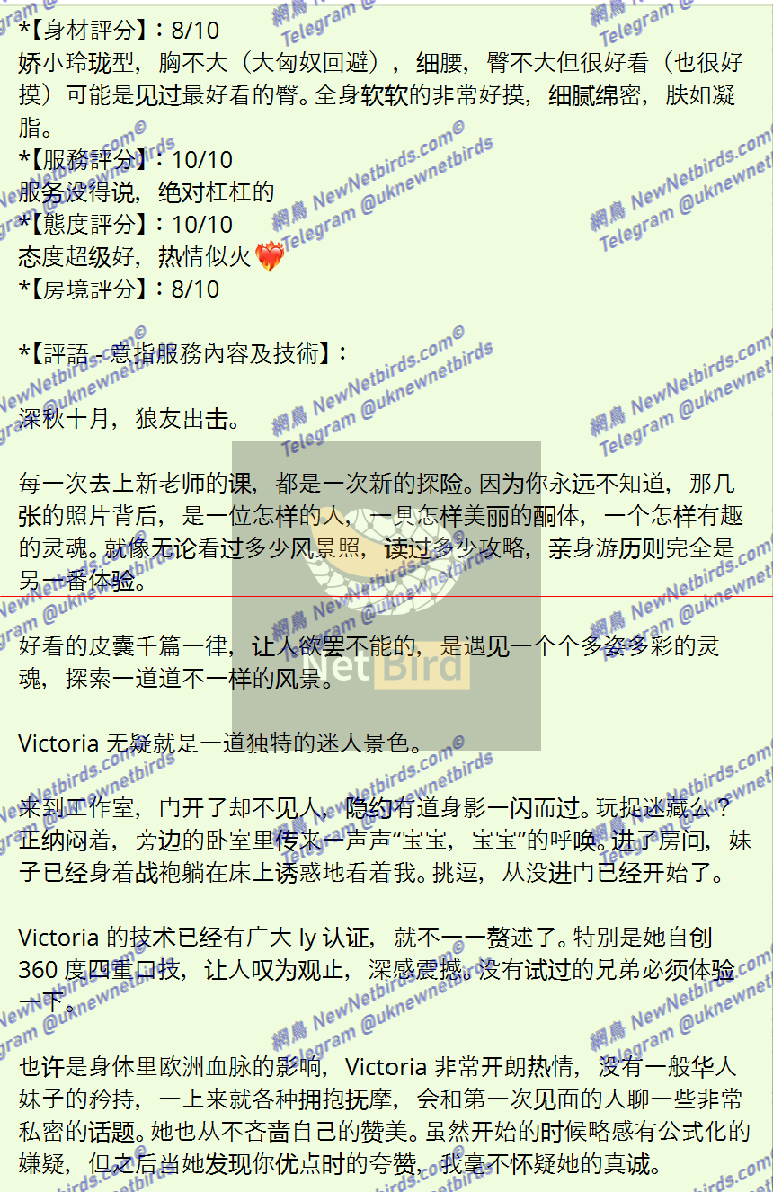 戰號 523 2.png